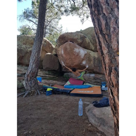 Speedster La Sportiva Danmark Limegul