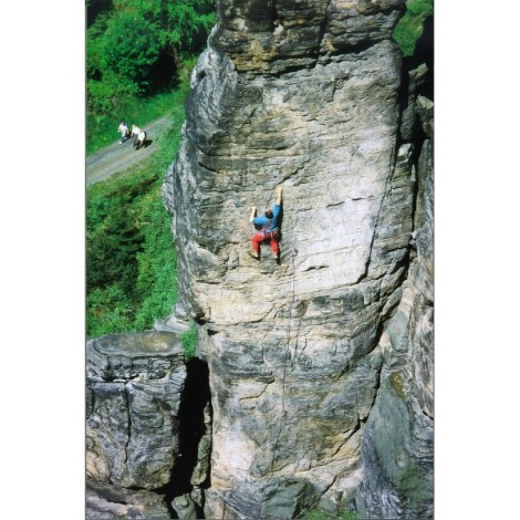 Den Sporty Danmark Rød Sort Testarossa